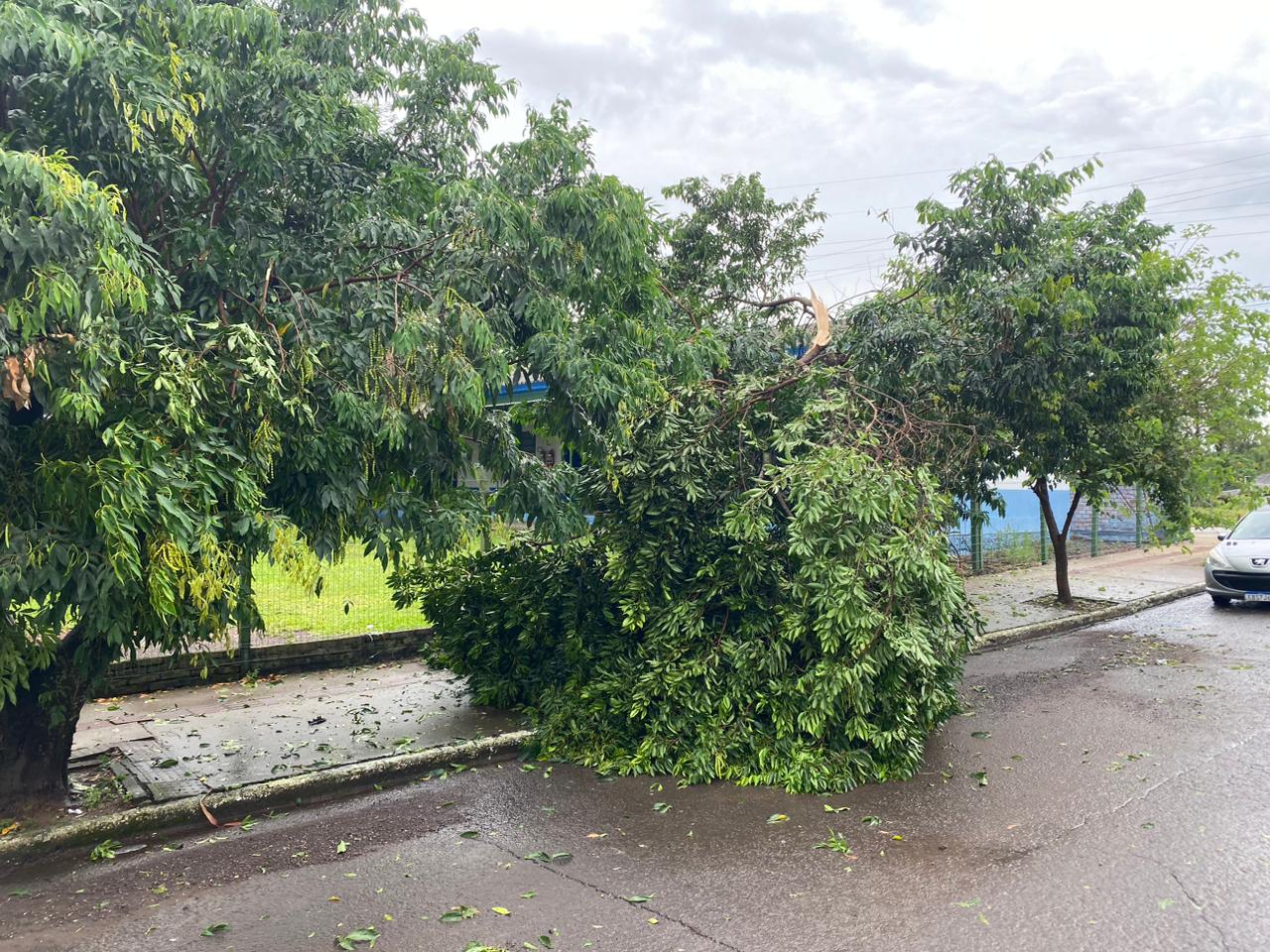 Defesa Civil de Santa Cruz atende atingidos pelo temporal