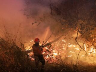 Falta de Chuvas em Minas Gerais Afeta Lavouras de Café em 2024