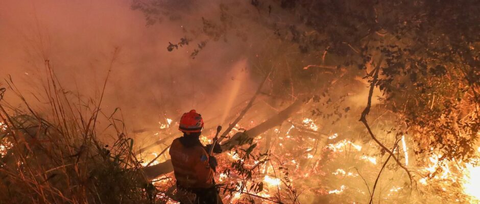 Incêndios de Vegetação Aumentam em Minas Gerais