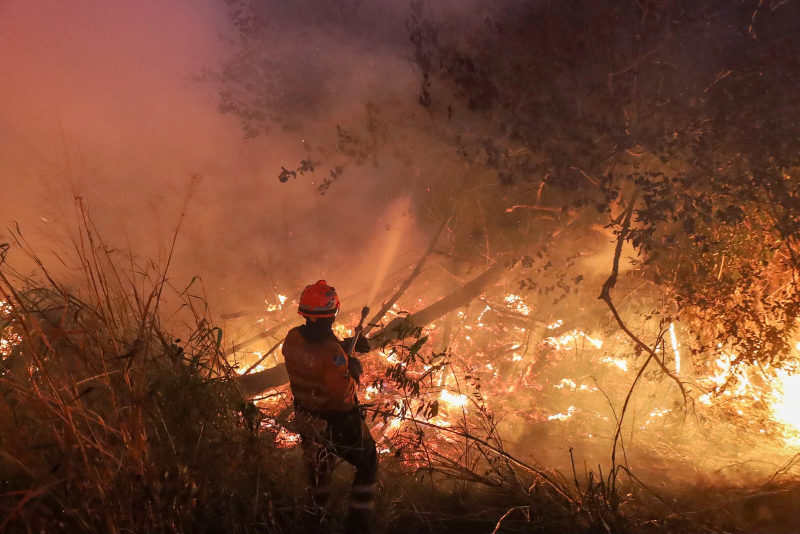 Incêndios de Vegetação Aumentam em Minas Gerais